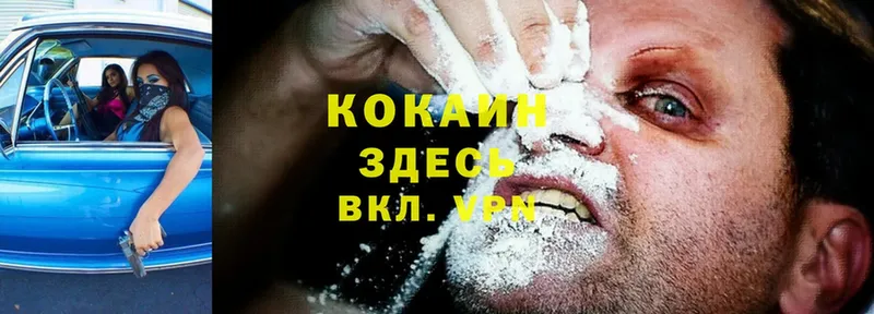 купить наркотик  Крымск  darknet официальный сайт  Cocaine Перу 