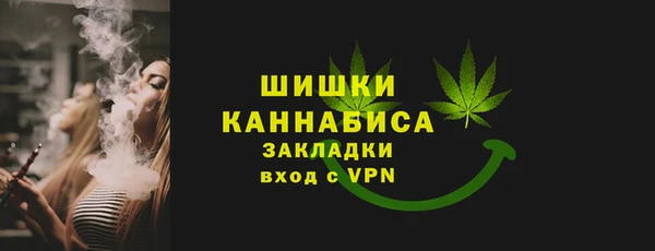 индика Володарск